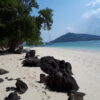 rang-island-phiphi-tour (14)