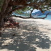 rang-island-phiphi-tour (5)