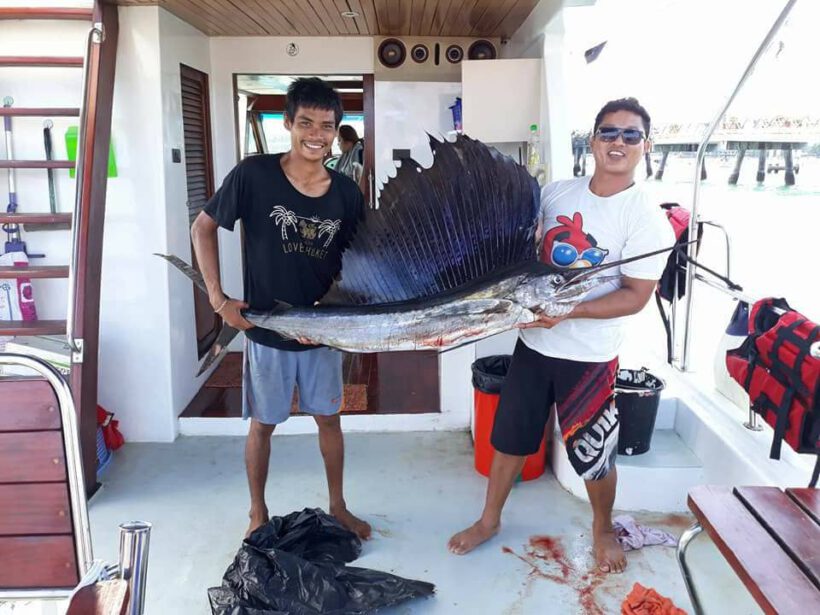 fishing-biggame (1)