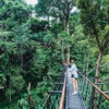 HanumanWorldPhuket-16